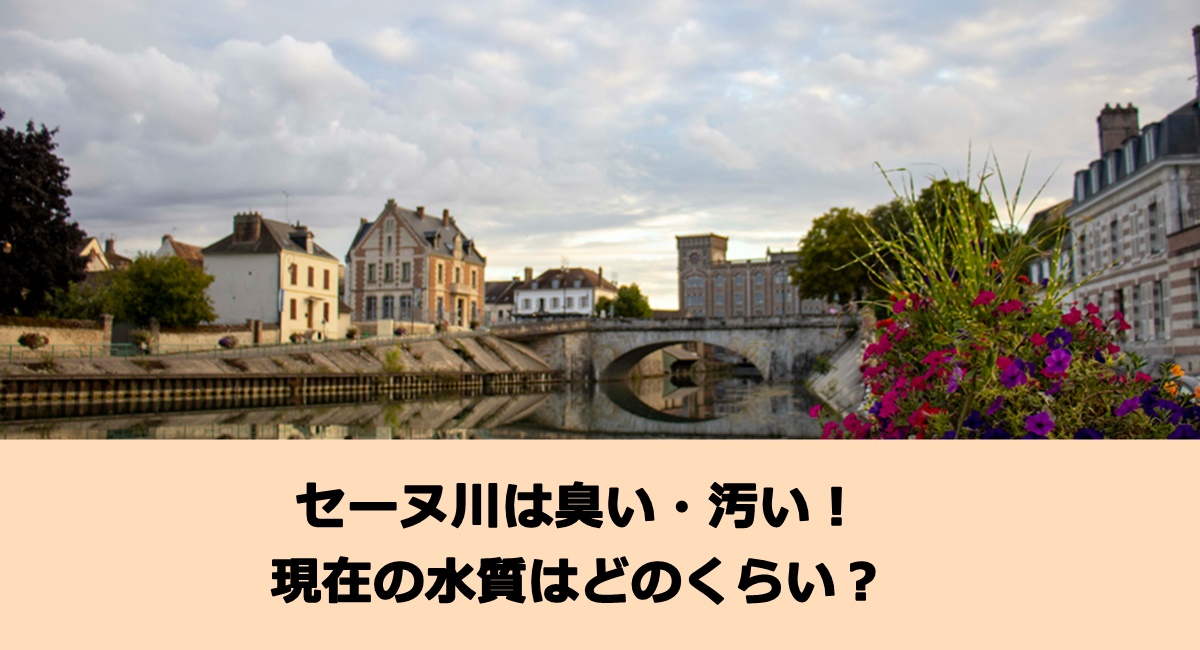 セーヌ川は臭い・汚い！現在の水質はどのくらい？